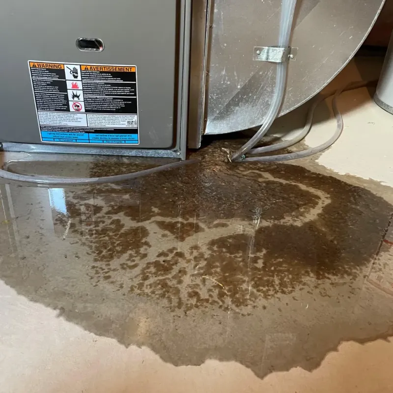 Appliance Leak Cleanup in Orchard Grass Hills, KY