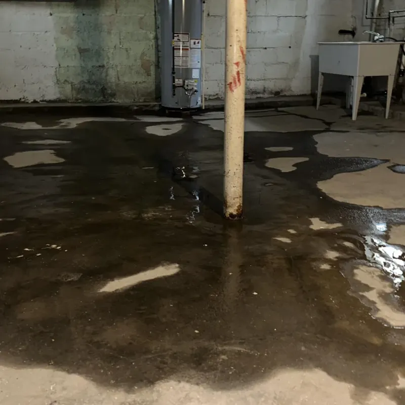 Emergency Water Extraction And Removal in Orchard Grass Hills, KY